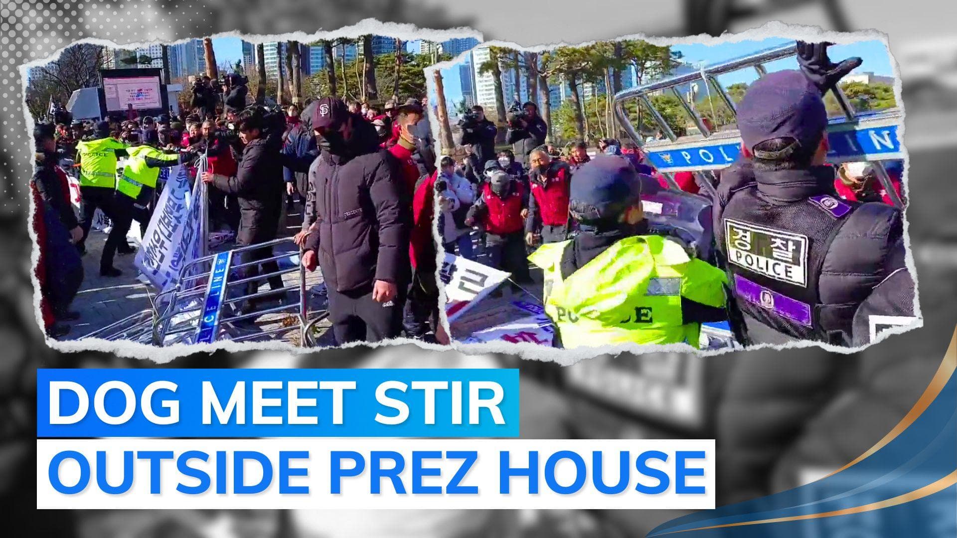 South Korea protesters clash with police over outlawing dog meat industry