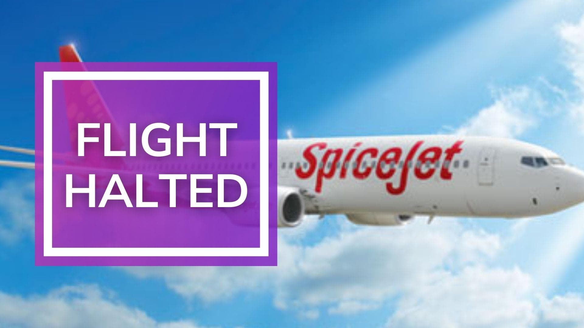 SpiceJet flight halted due to lack of payment, find out what happened 