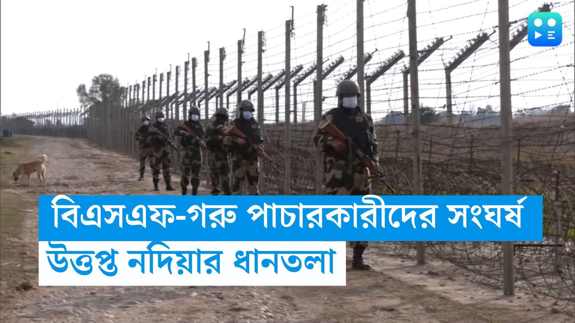 Nadia news : একের পর এক বোমা, পাল্টা চলল গুলি, বিএসএফ-গরু পাচারকারীদের সংঘর্ষে উত্তপ্ত নদিয়ার ধানতলা