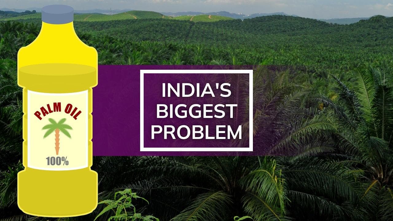 Explained: Why Indonesia ban and not Ukraine war is India's biggest problem