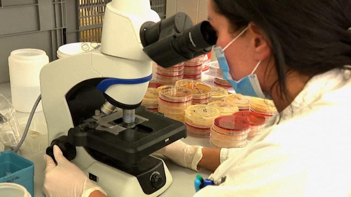 Britain में कम्युनिटी स्प्रेड शुरू, बिना ट्रैवल हिस्ट्री वालों में भी दिखा ओमिक्रॉन 