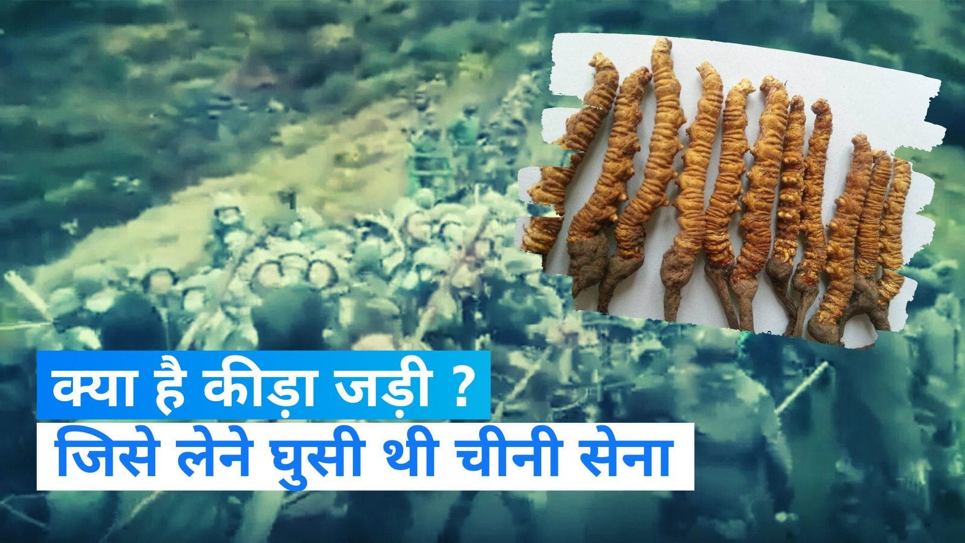 Indo-China clash: Keeda Jadi लेने के लिए भारतीय सीमा में घुसी चीनी सेना,  IPCSC रिपोर्ट में हुआ खुलासा