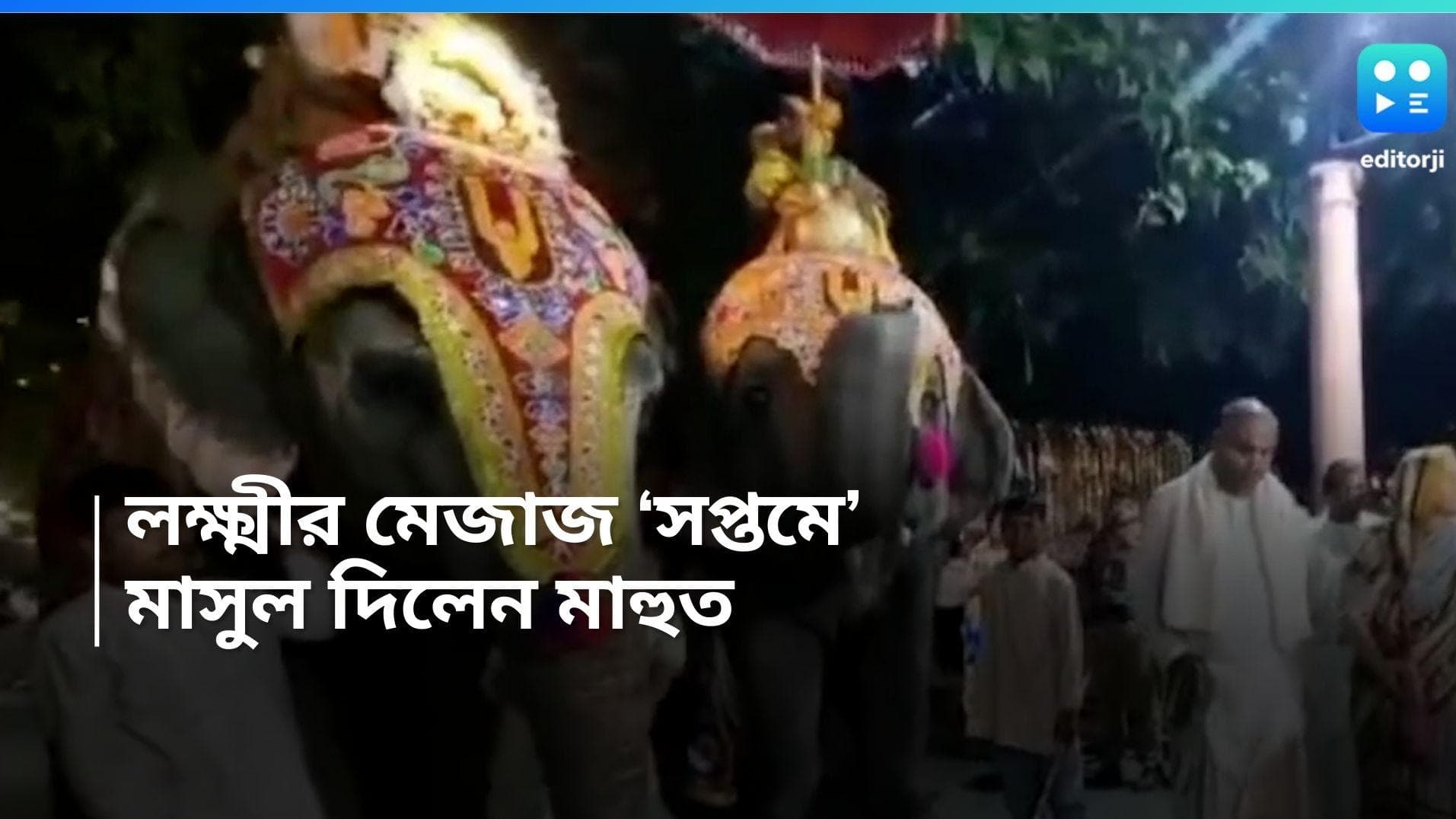 Mayapur News: খেতে দিতে গিয়েই গেল প্রাণ , মায়াপুরের ইসকনে মাহুতকে পিষে মারল হাতি 