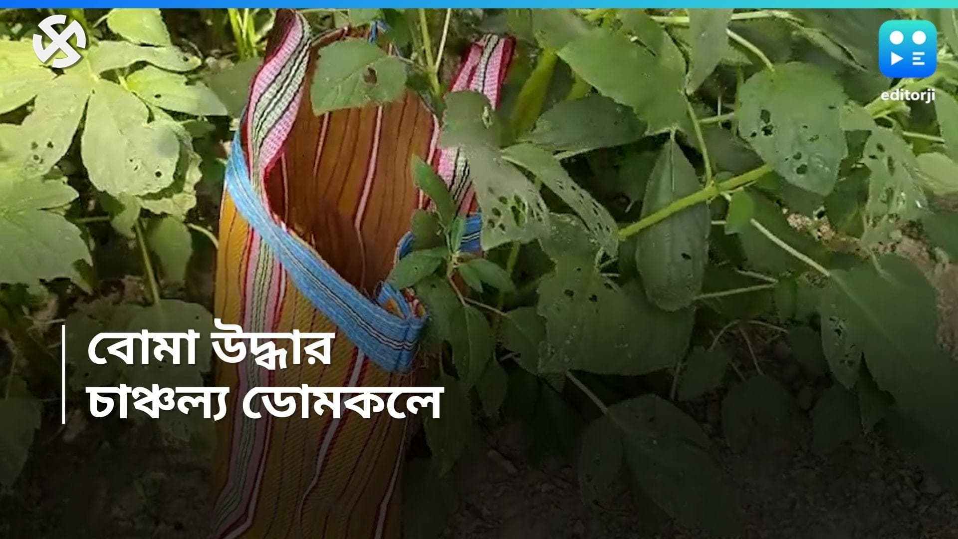 Murshidabad: ভোটের আগেই মুর্শিদাবাদ থেকে উদ্ধার প্রচুর বোমা, ব্যাপক চাঞ্চল্য ডোমকলে 