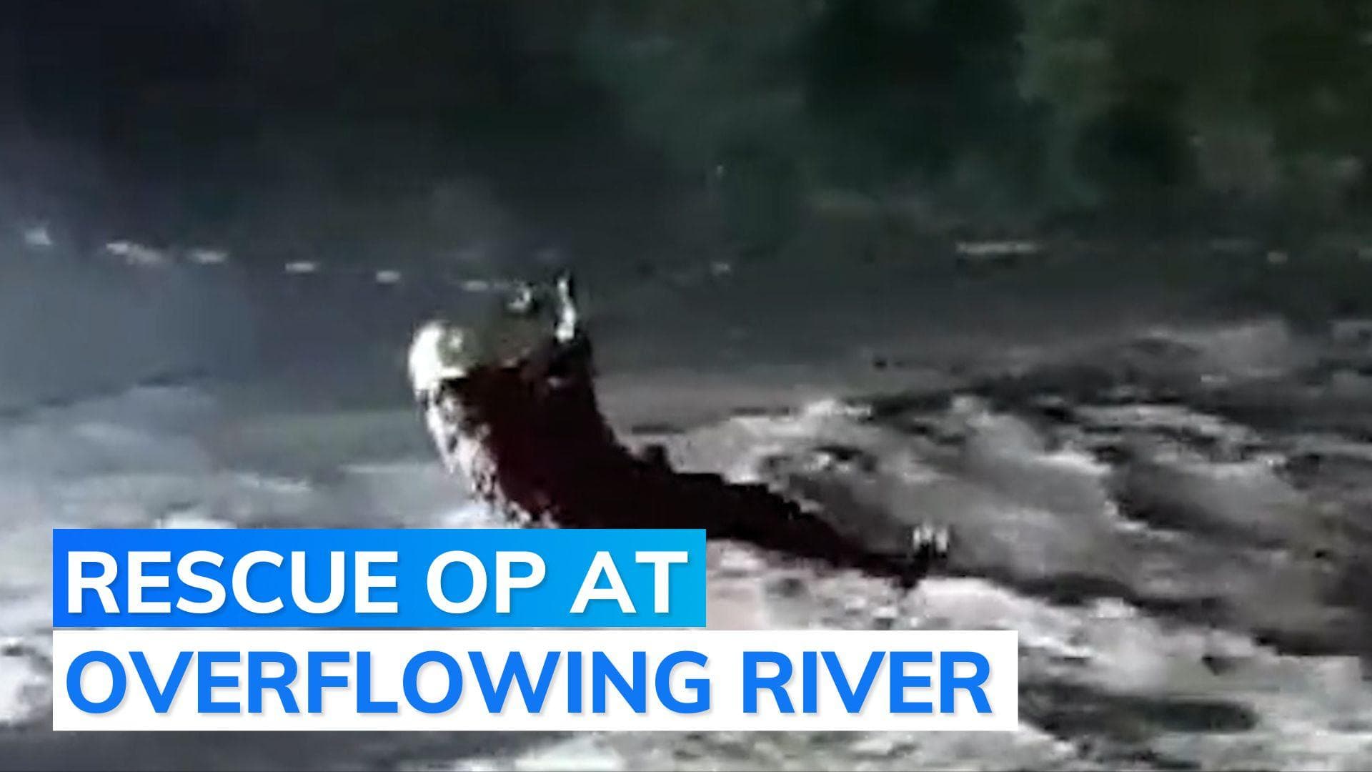 On cam: Late-night rescue amid heavy rain in Himachal Pradesh's Mandi