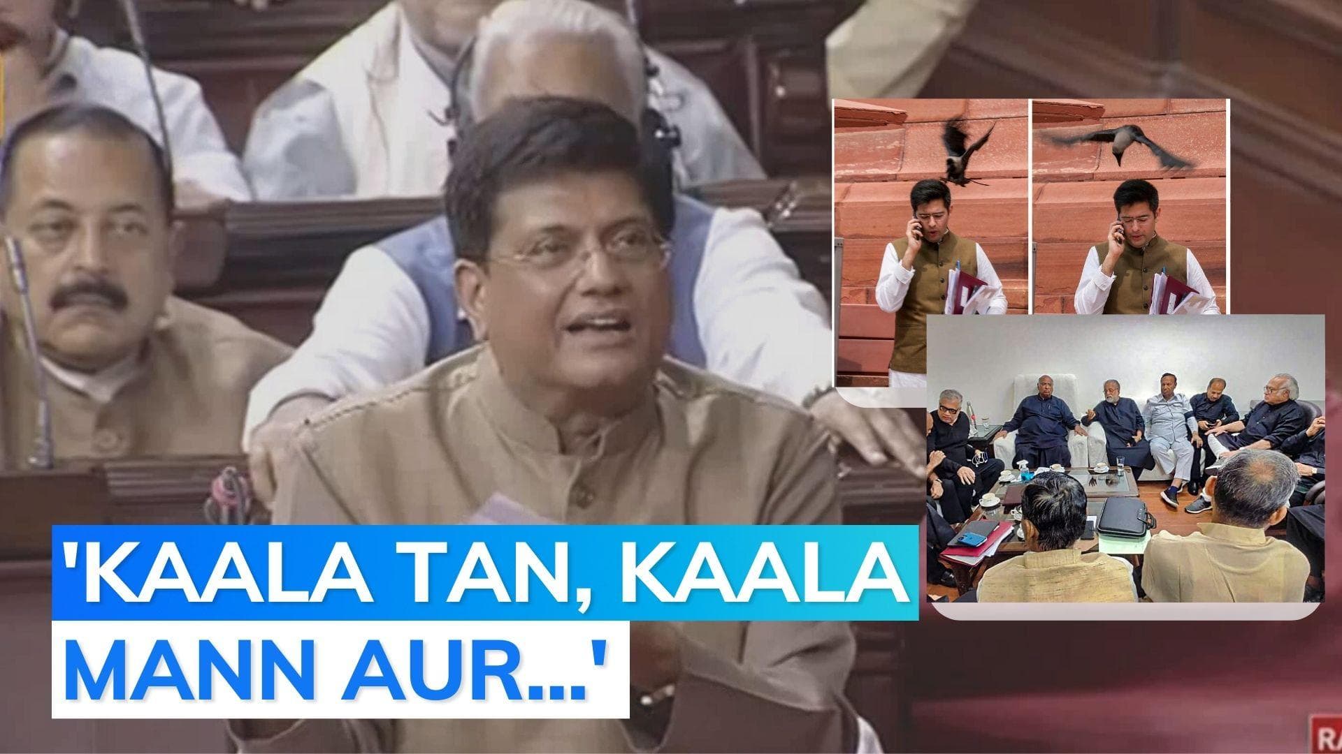 Watch: Piyush Goyal gets poetic in Rajya Sabha over Opposition's 'black' protest