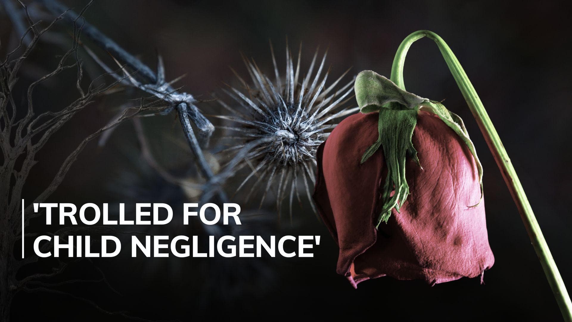  Mother of infant rescued from Chennai residential apartment dies by suicide