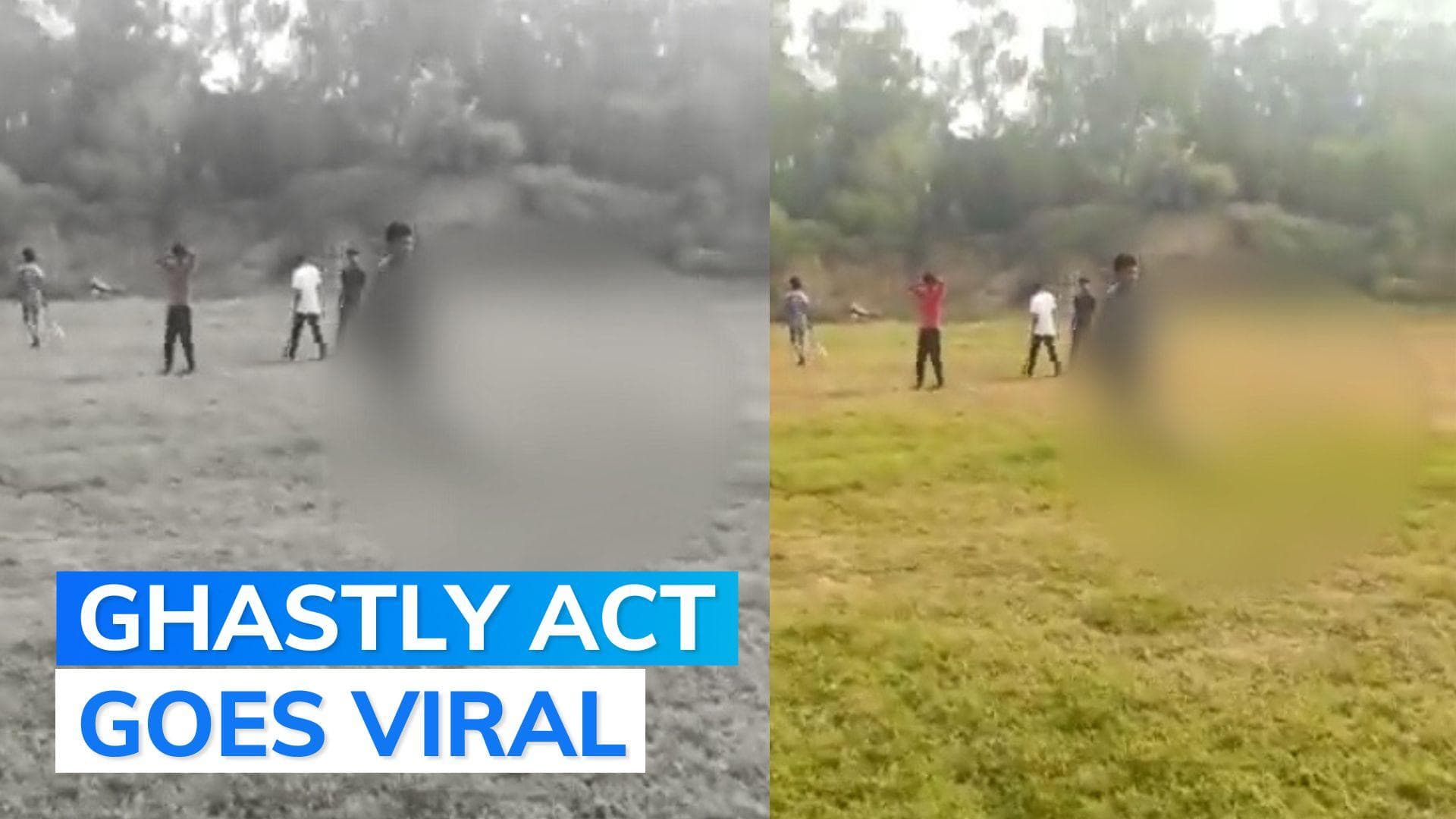 Video: students thrash pregnant dog to death in Delhi; angry activists seek action