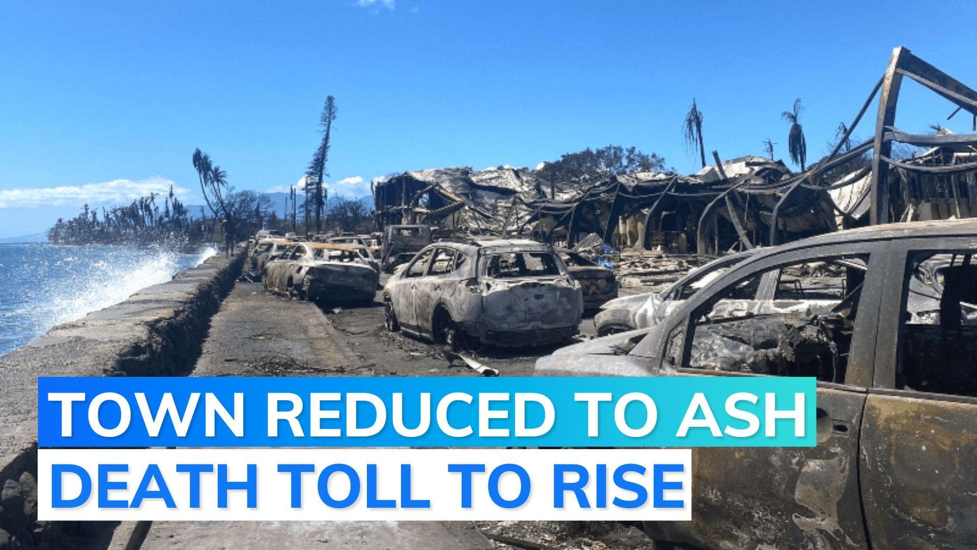 Hawaii: deadly wildfires devastate Maui island, death toll rises to 89