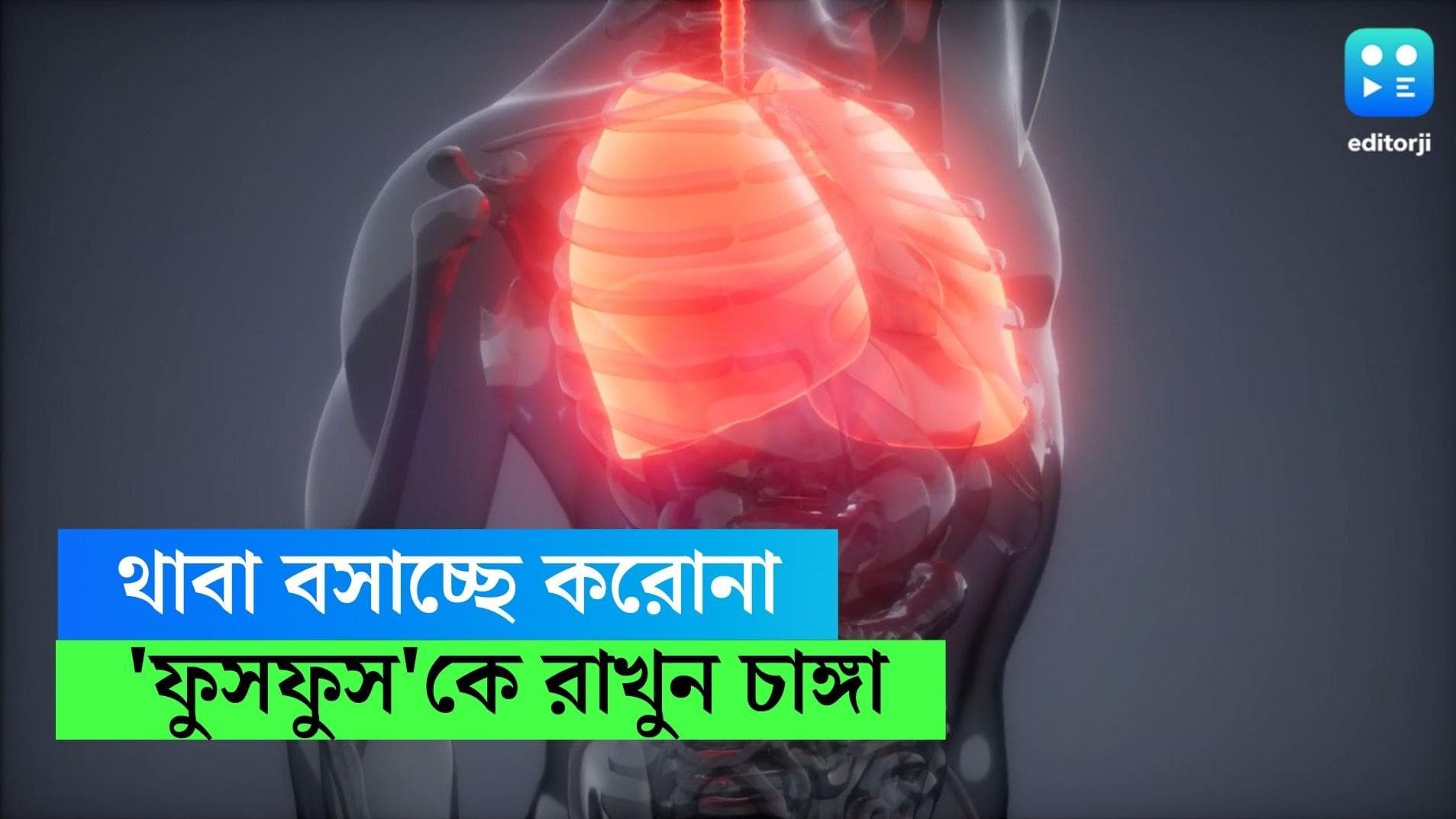 Lung Care: থাবা বসাচ্ছে করোনা, 'ফুসফুস'কে রাখুন চাঙ্গা, রইল টিপস