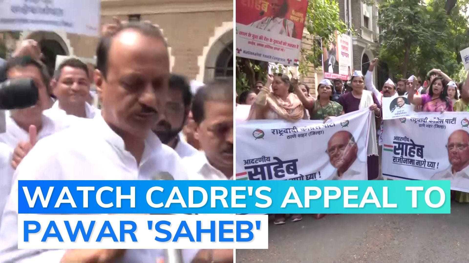 Watch: ahead of meet to decide successor, pro-Sharad Pawar slogans outside NCP office