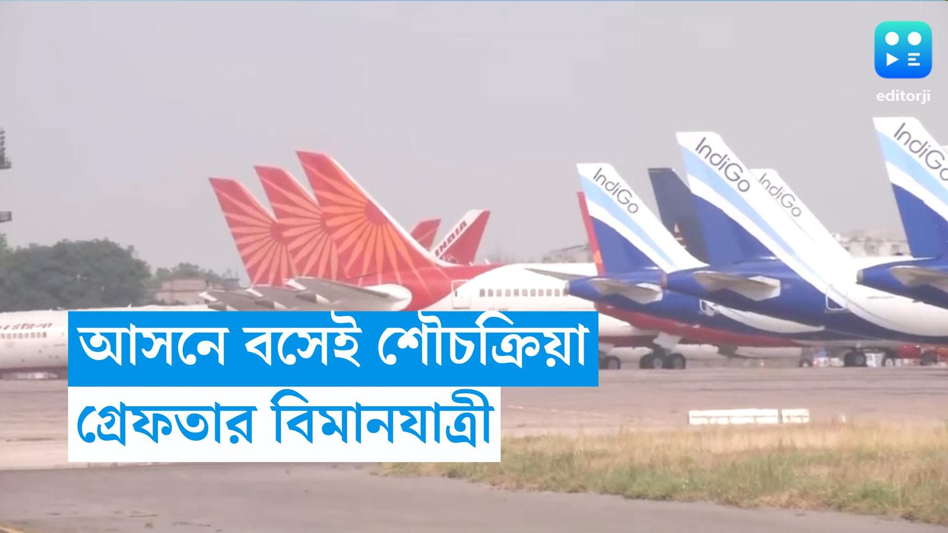 Air India: আসনের পাশেই মল-মূত্র ত্যাগ! এয়ার ইন্ডিয়ার বিমানে কেলেঙ্কারি কাণ্ড