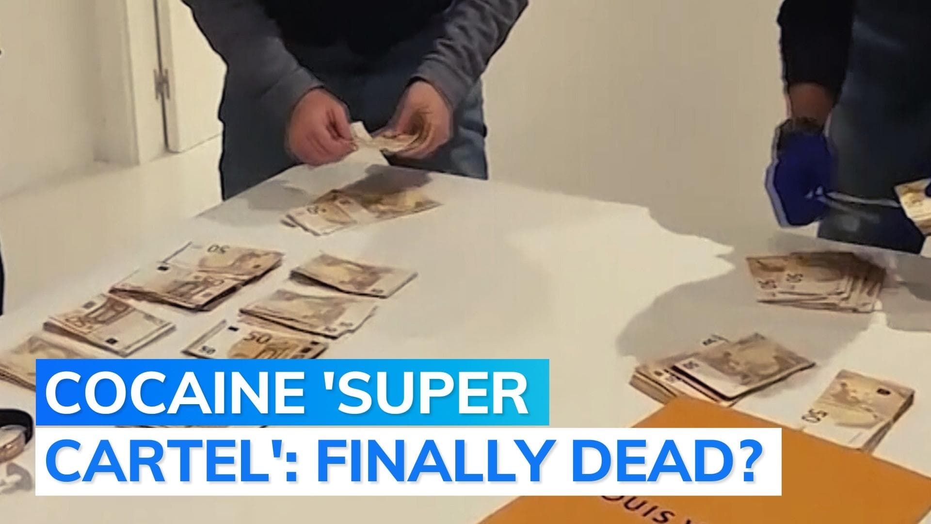 Europe's biggest cocaine cartel busted in transcontinental raids: report