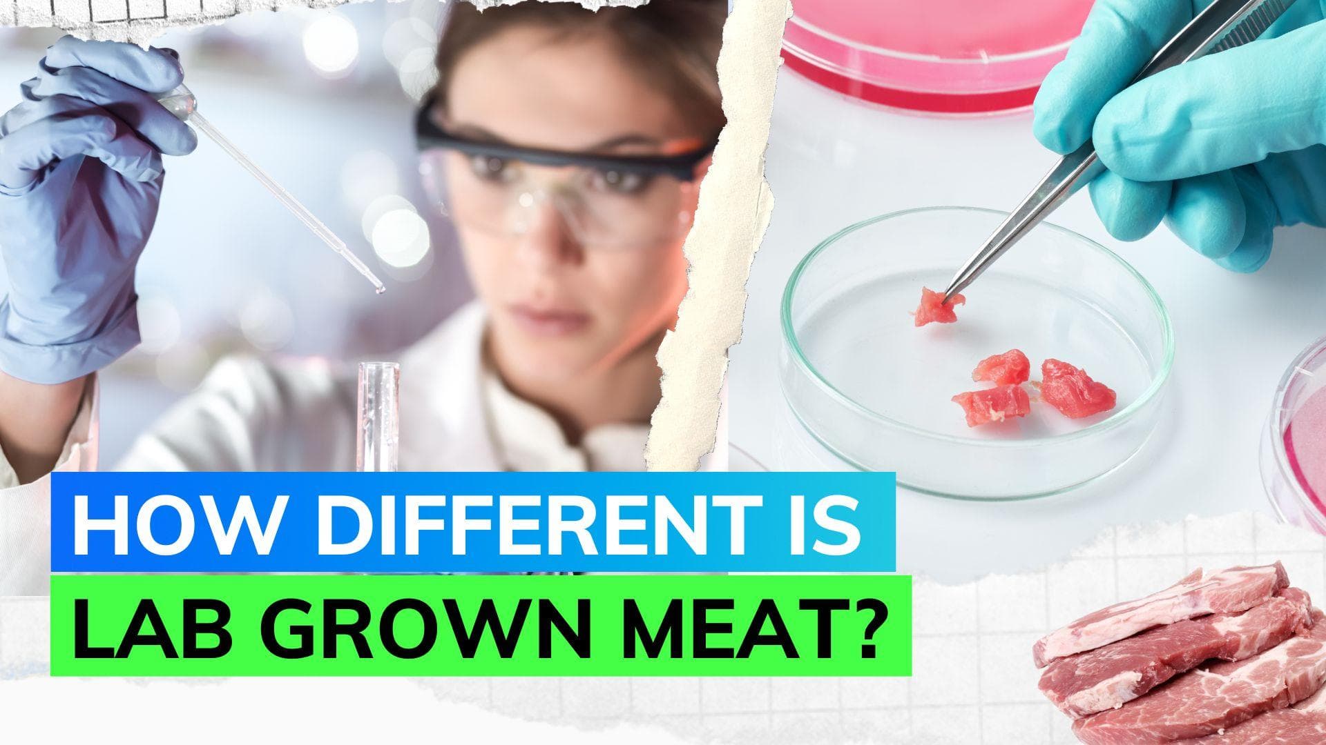 Artificial meat approved for sale in US; know the difference between plant-based and lab-grown meat
