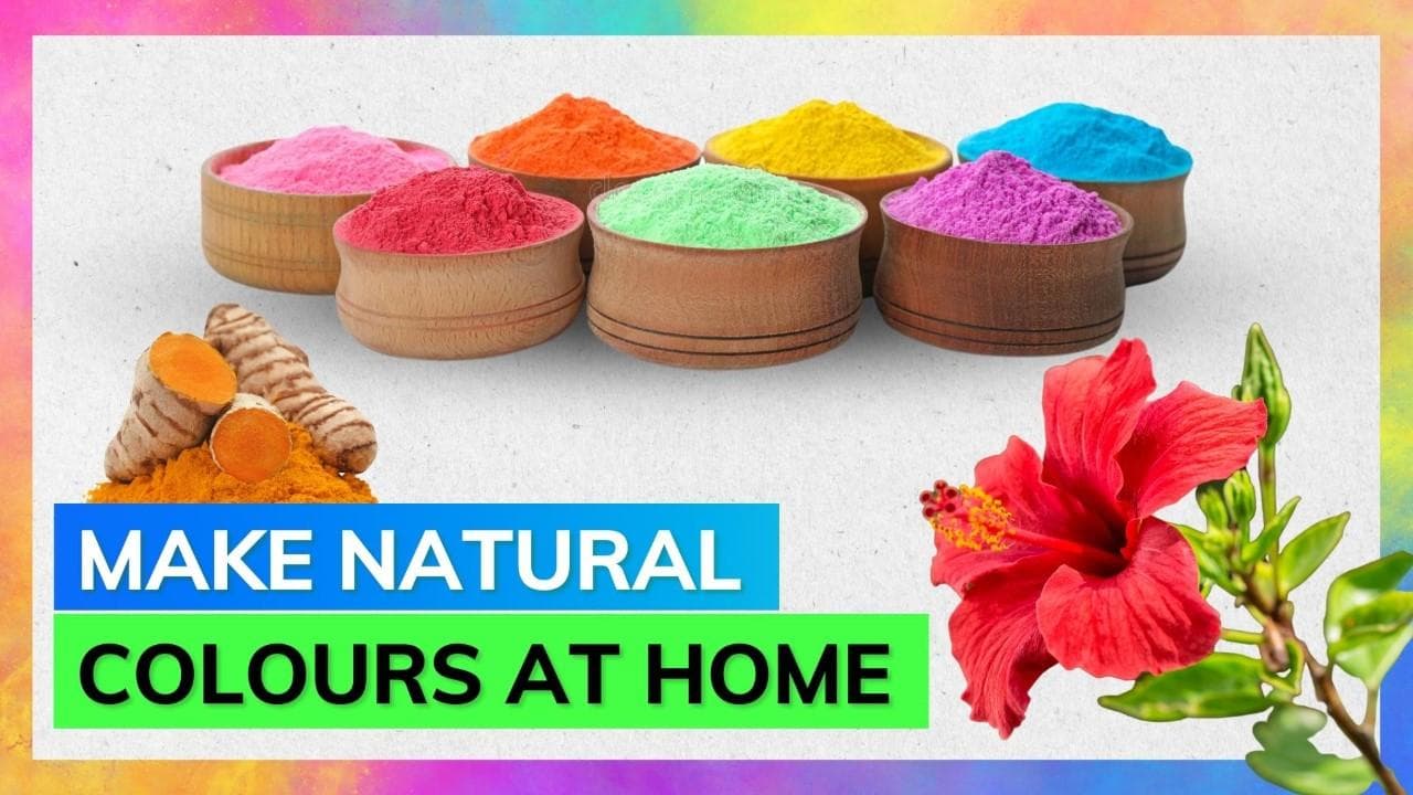 Holi 2023: Make your own organic colours and enjoy without worrying about skin damage