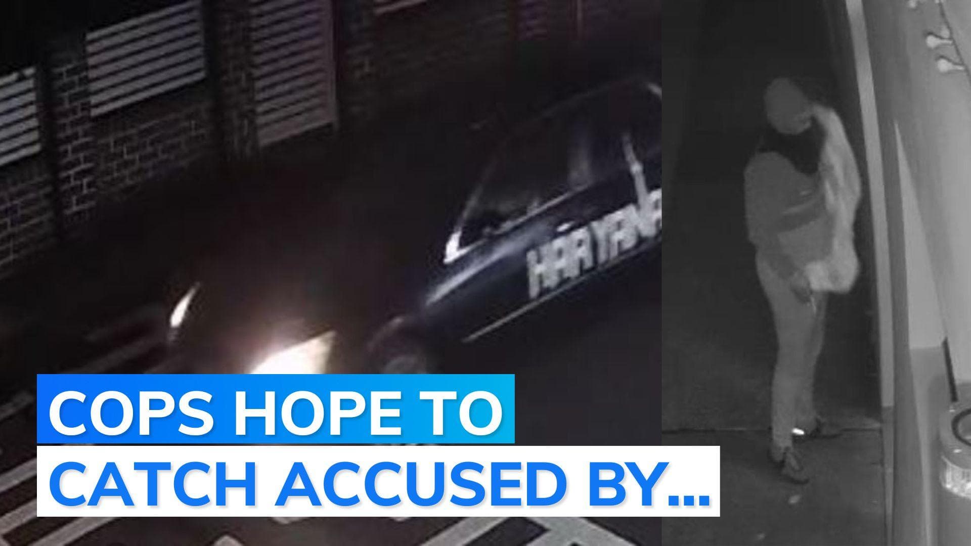 Temple vandalised in Sydney: cops release images of miscreants