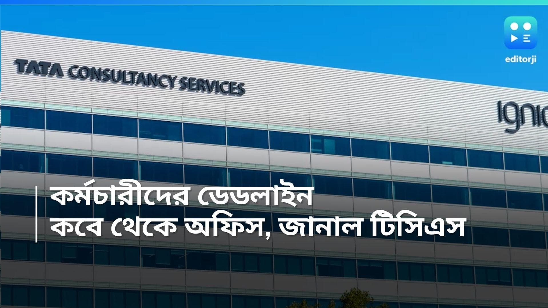 TCS Work From Home: সব কর্মচারীর অফিসে আসা বাধ্যতামূলক, কতদিন ডেডলাইন দিল টিসিএস!
