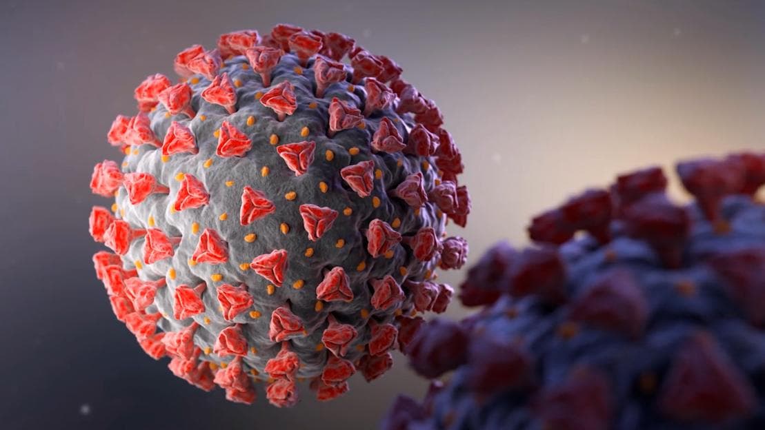 Omicron likely to cause 3 times more reinfections than Delta: study