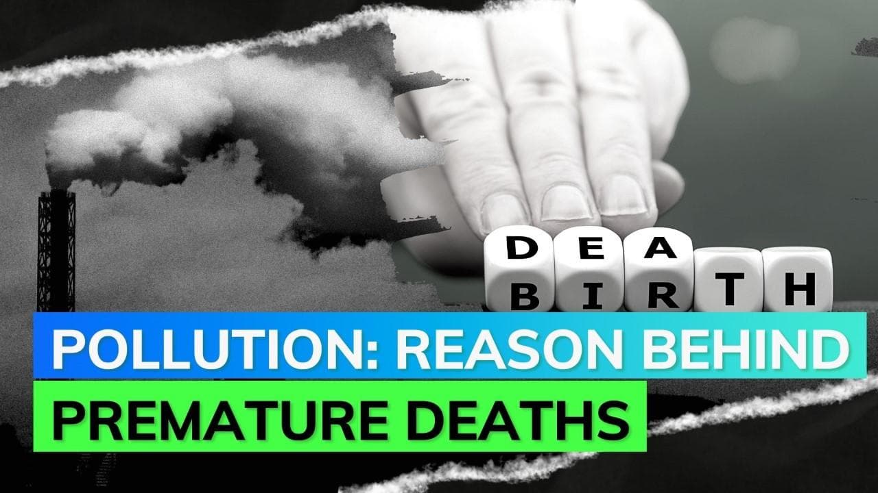 Pollution: Leading environmental risk factor for premature death globally 