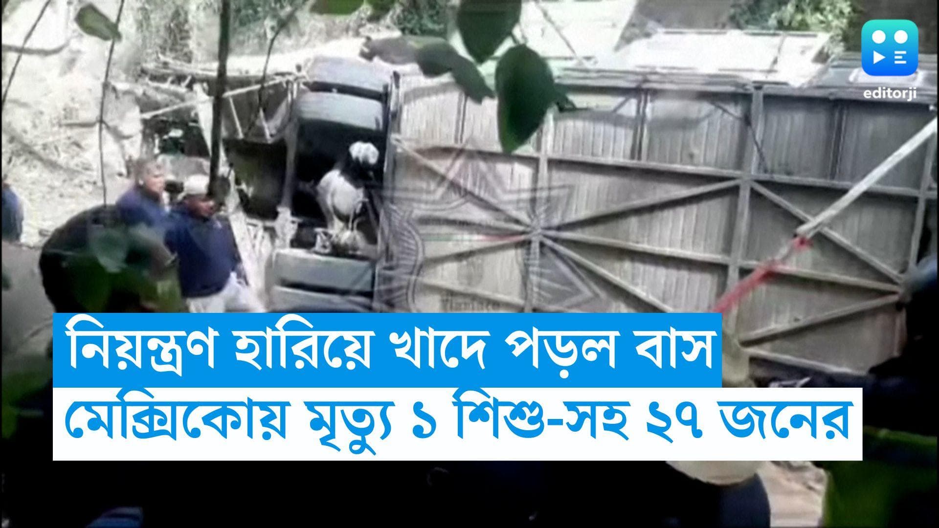 Mexico Accident: নিয়ন্ত্রণ হারিয়ে খাদে পড়ল বাস, মেক্সিকোয় মৃত্যু এক শিশু-সহ ২৭ জনের