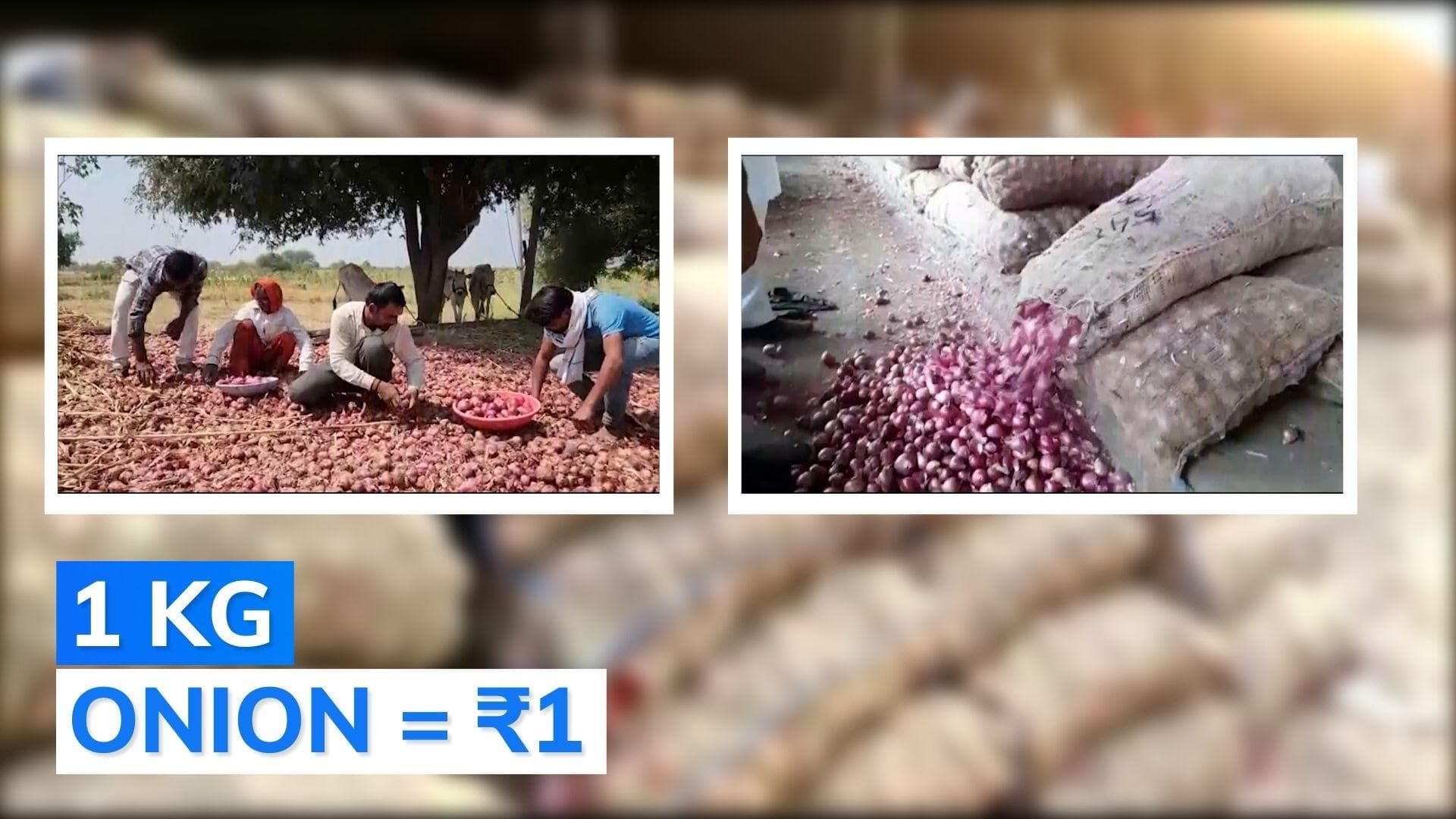 Maharashtra farmer sells 512 kgs of onion, earns Rs 2.49 profit