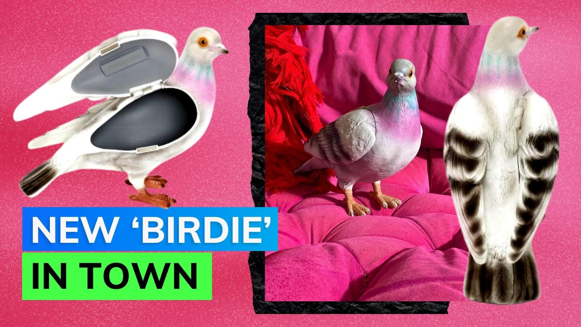 And Just Like That: Sarah Jessica Parker's pigeon clutch is social media's newest obsession