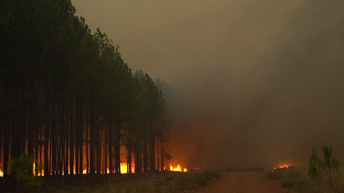 8,000 square kilometres of land burnt: wildfire in Argentina rages
