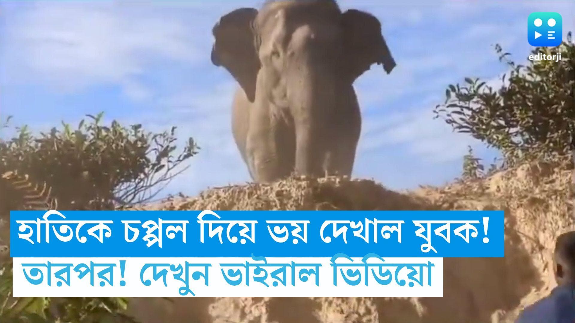 Viral Video: শান্ত হাতিকে চপ্পল দিয়ে ভয় দেখাল যুবক! তারপর... আতঙ্কিত নেটিজনরা