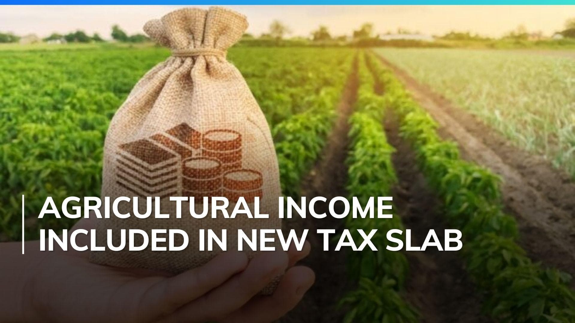 Budget 2024: Income from farming counts in New Tax slab calculations