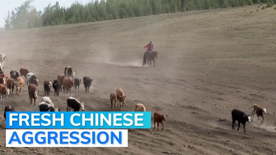 Chinese troops stop Indian cattle-herders on Indian side of LAC in Ladakh