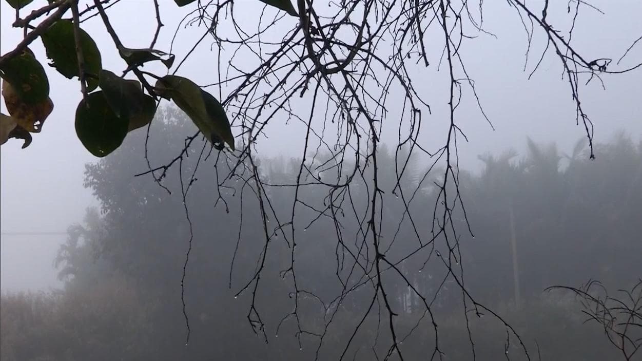 Weather update: গোটা রাজ্যেই দ্রুত নামছে পারদ, কলকাতায় রবিবার সর্বনিম্ন তাপমাত্রা ১৮.৭ ডিগ্রি সেলসিয়াস