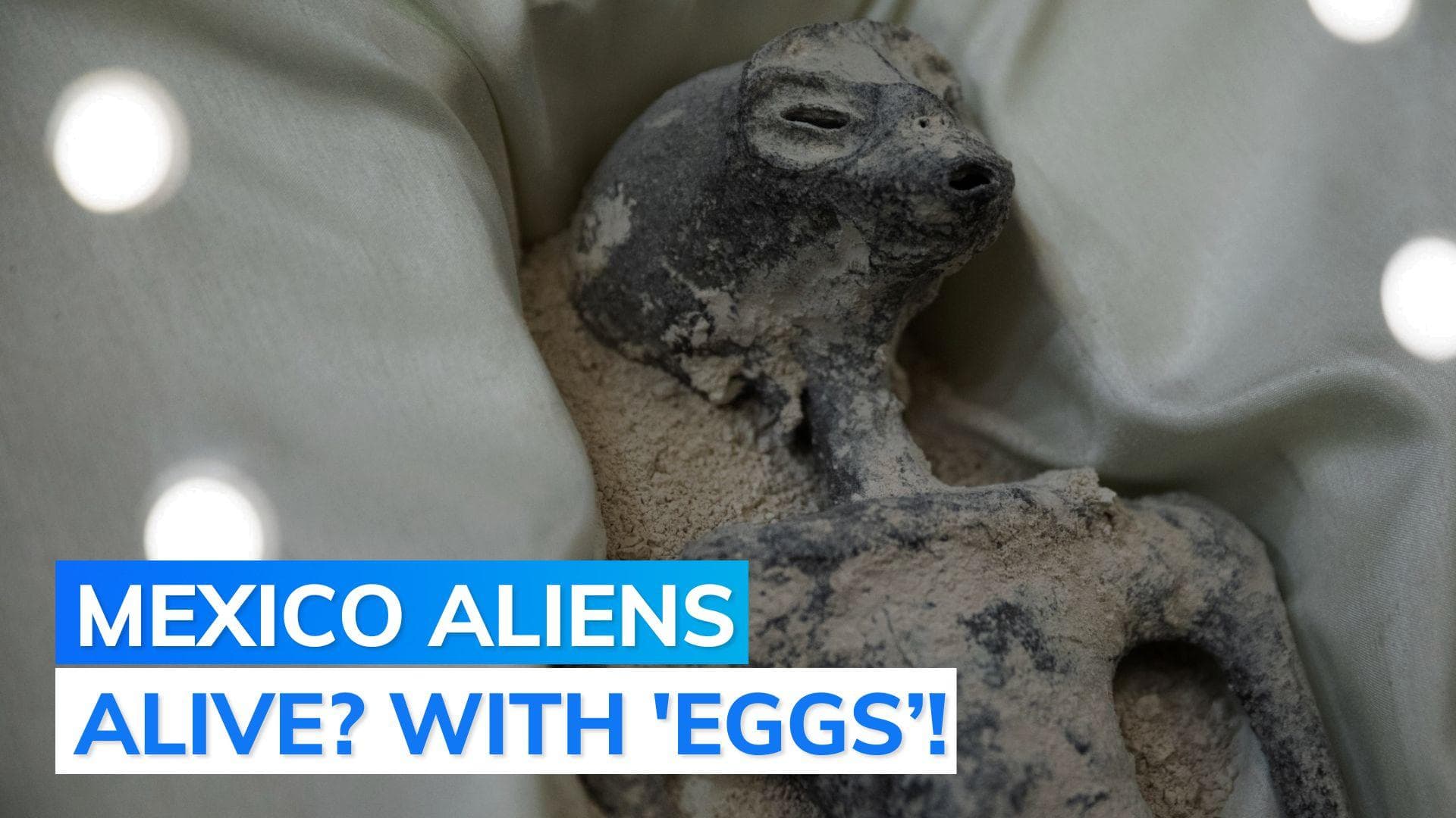 Mexico forensic expert tests ‘alien bodies’, says they may have eggs