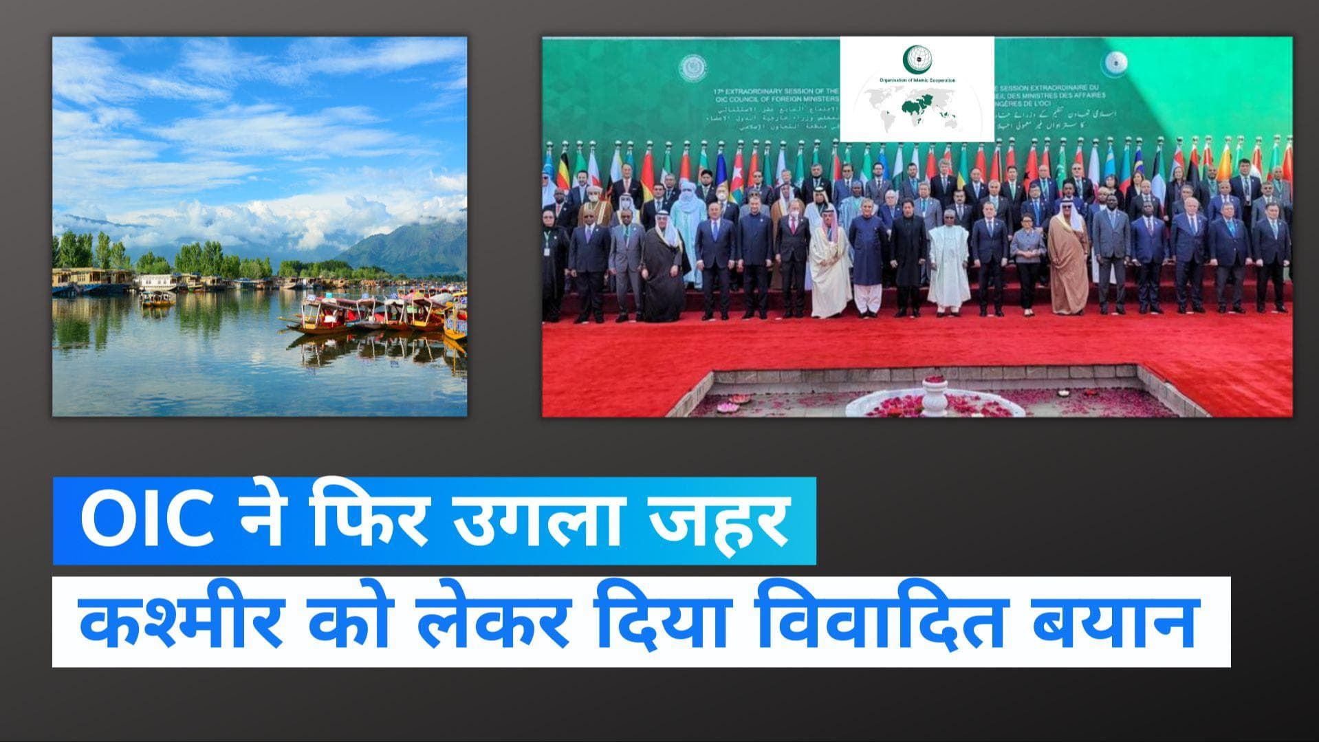 OIC On J&K: इस्लामिक देशों के संगठन OIC ने भारत के खिलाफ उगला जहर, घाटी में दोबारा धारा 370 लगाने की मांग