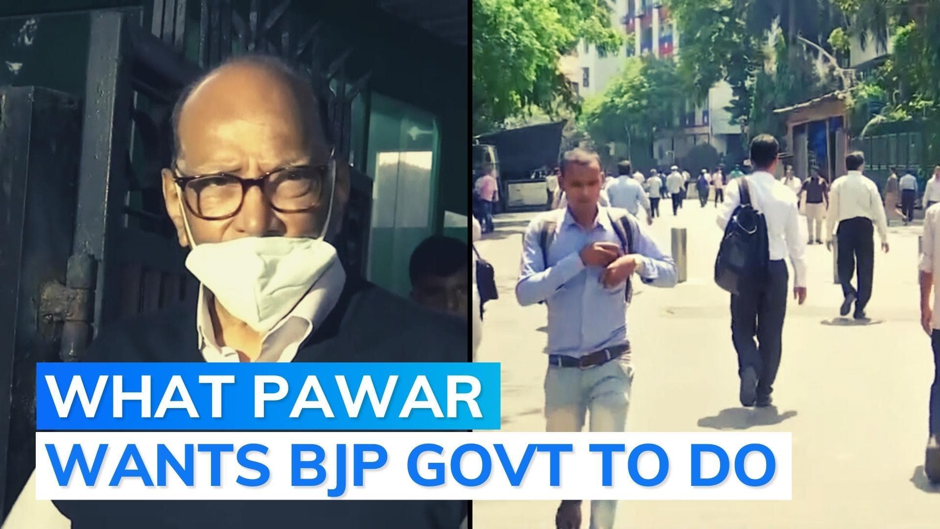 'Young men not finding brides because...': NCP chief Sharad Pawar on unemployment