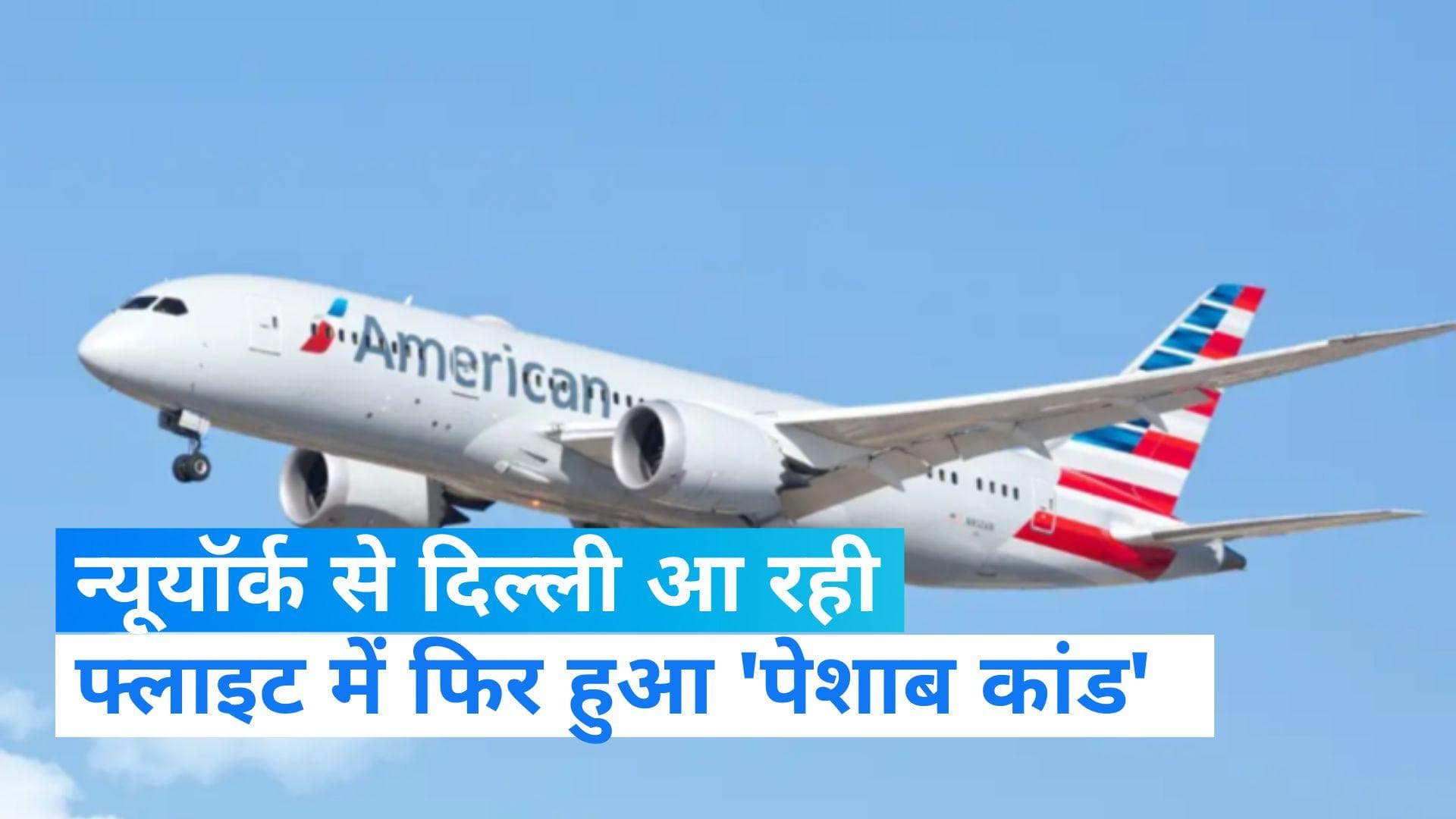 Peegate Again: अब न्यूयॉर्क से दिल्ली आ रही फ्लाइट में पेशाब कांड, IGI एयरपोर्ट पर आरोपी हुआ गिरफ्तार 