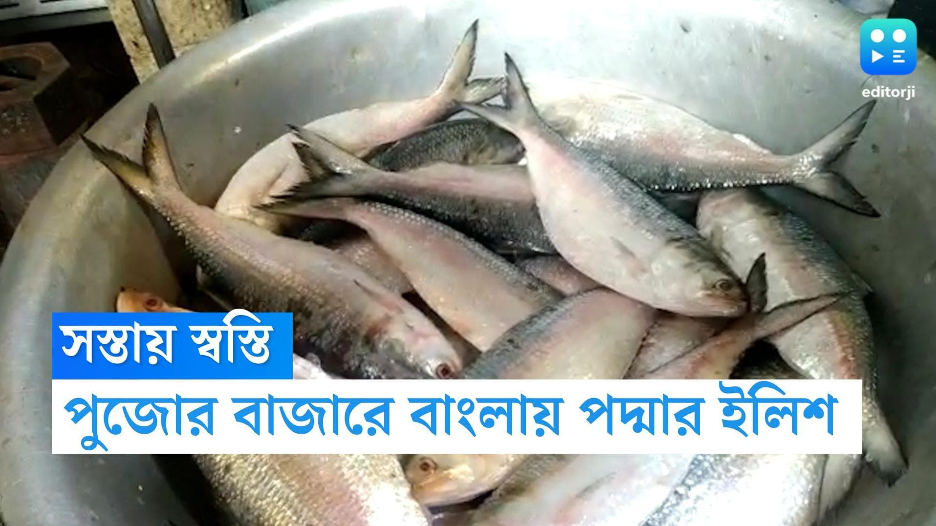 Padma Hilsa: পদ্মার ইলিশে ছাড়পত্র হাসিনার, সপ্তাহের শুরুতেই বাংলায় এল প্রায় সাড়ে ৮ মেট্রিক টন মাছ 