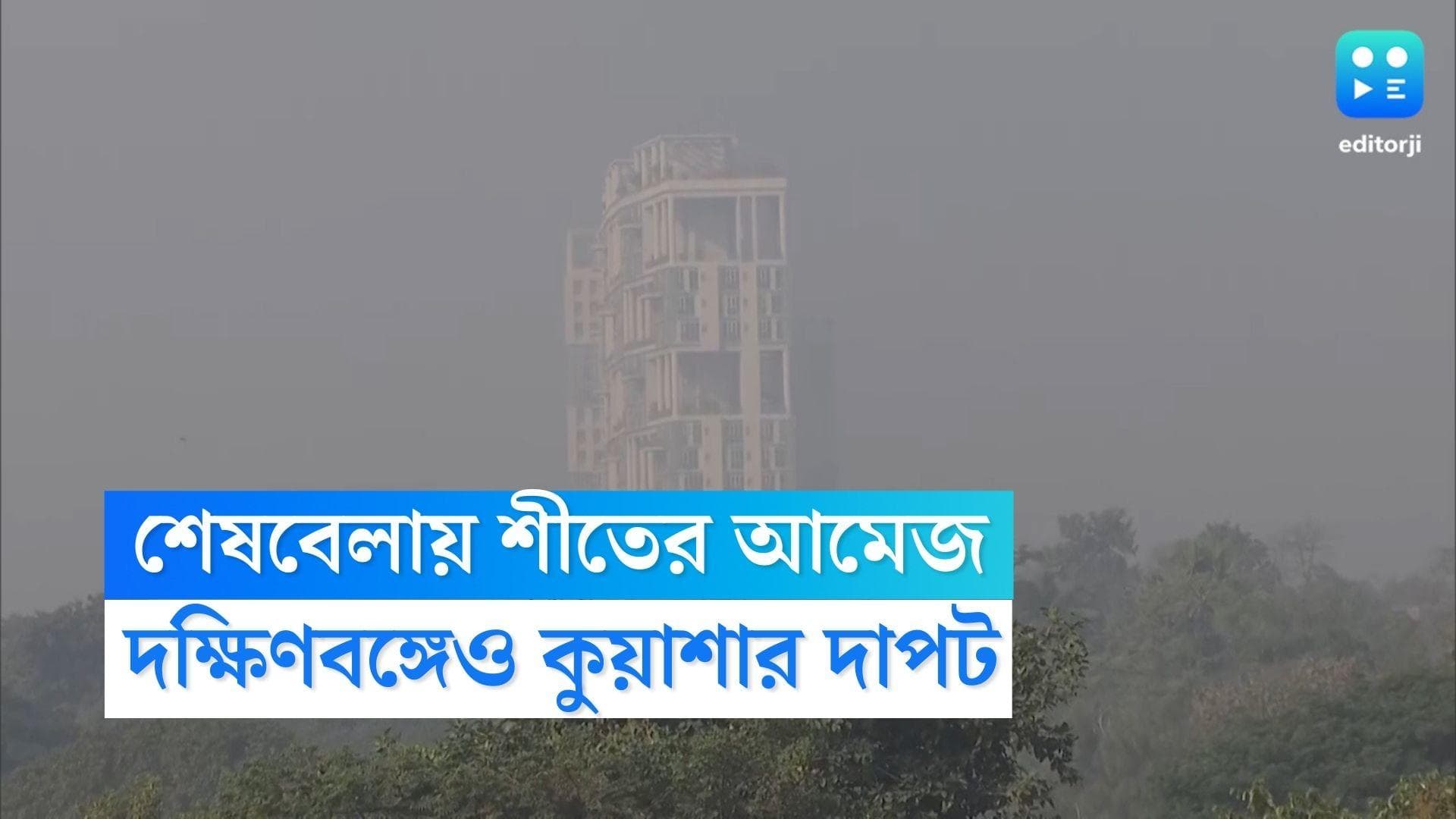 West Bengal Weather Update: কলকাতায় শেষবেলায় ফিরল শীতের আমেজ, উত্তরের পাশাপাশি দক্ষিণবঙ্গেও কুয়াশার দাপট