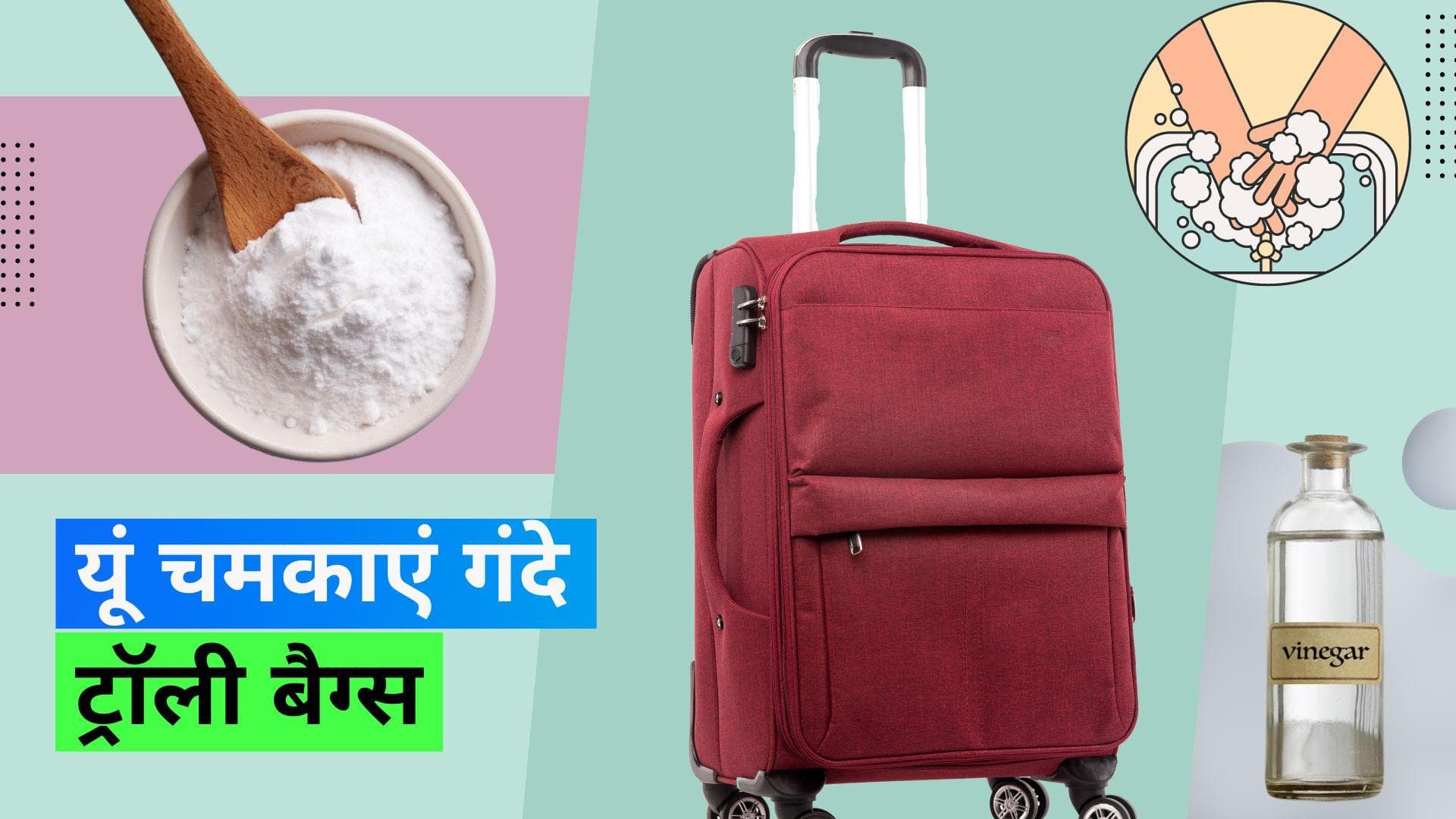 Trolly Bag Cleaning Hack: गंदे, काले और फफूंदी लगे ट्रॉली बैग को ऐसे करें साफ़ 