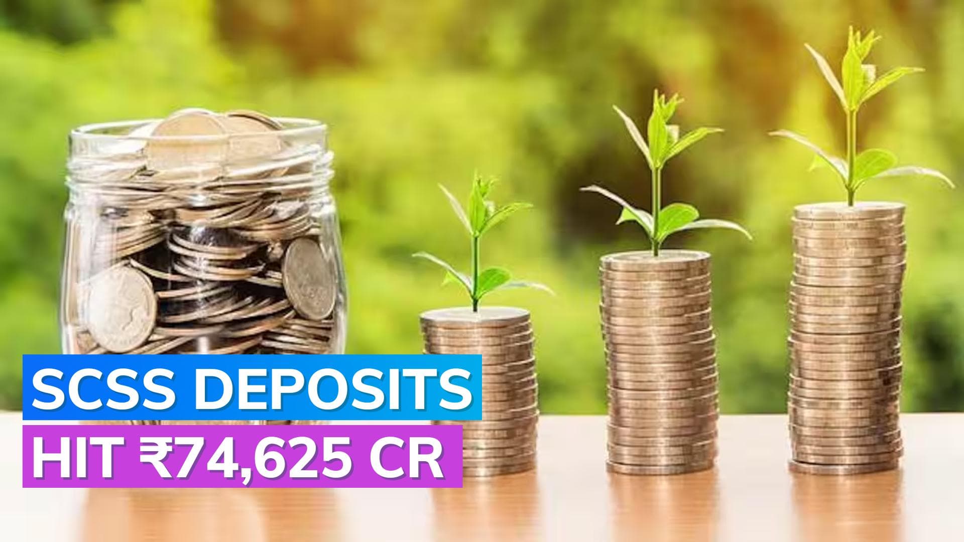 Senior Citizens Savings Scheme soars: ₹74,625 crore in deposits