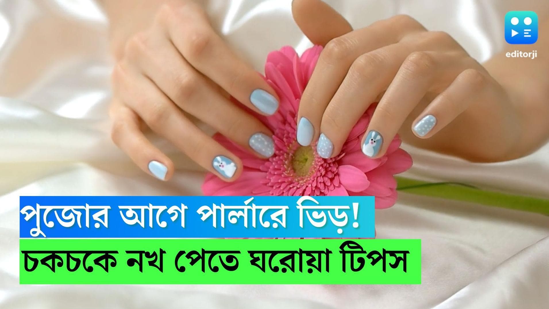 Durga Puja : পার্লারে ভিড় ? পুজোর আগে চকচকে নখ পেতে রইল কিছু ঘরোয়া টোটকা