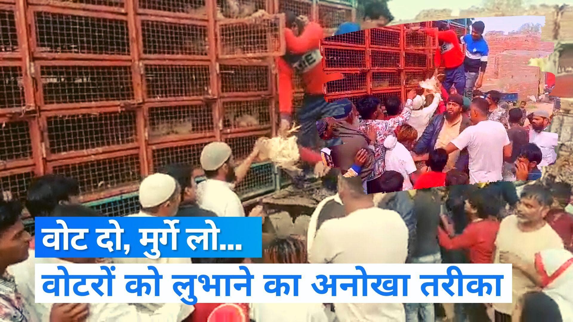 UP News: वोटरों को लुभाने के लिए बंटवा दिए दो ट्रक मुर्गे, वायरल हुआ Video