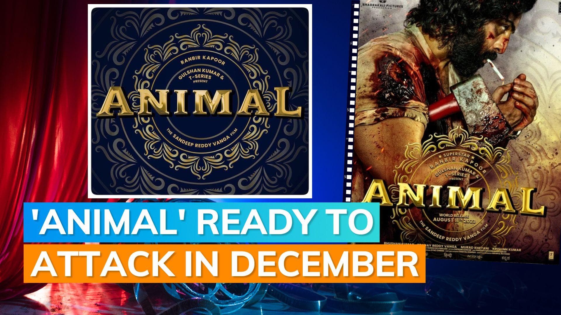 ‘Animal’: Ranbir Kapoor starrer gets a new release date