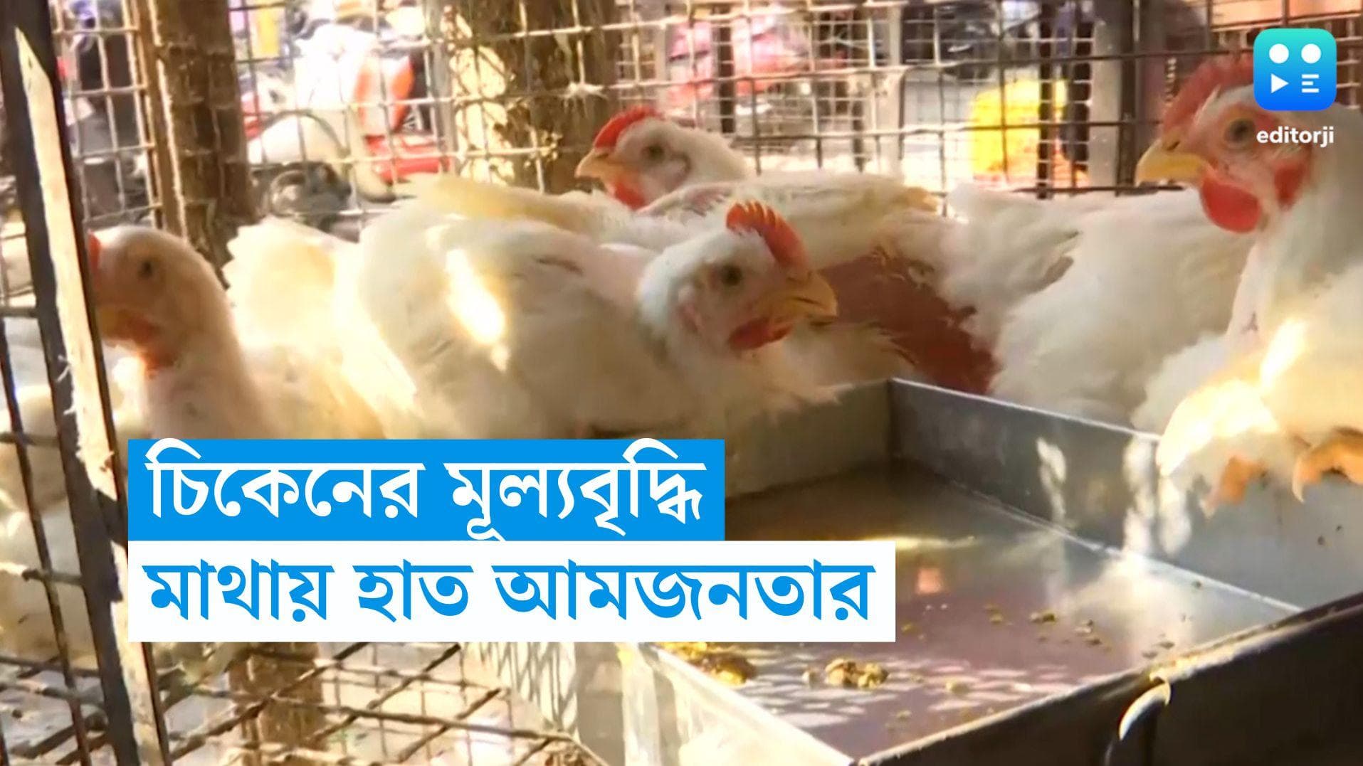Chicken Price Hike: ফের বাড়ল মুরগির দাম, চিকেনের স্বাদও কি ভুলতে বসবে মধ্যবিত্ত বাঙালি?