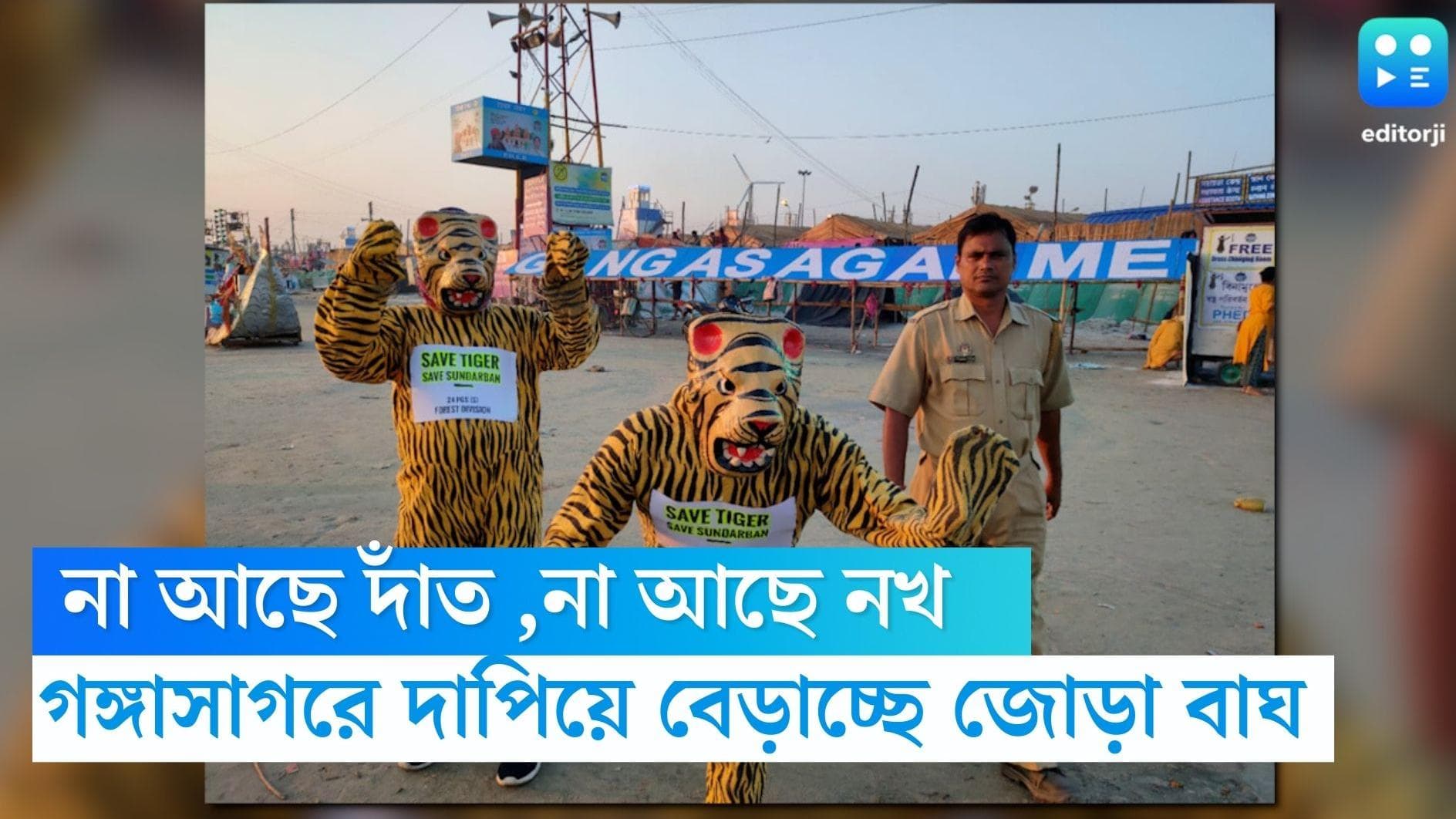 Gangasagar Mela 2023: গঙ্গাসাগর মেলার দাপিয়ে বেড়াচ্ছে এক জোড়া বাঘ, তার না আছে দাঁত না আছে নখ 