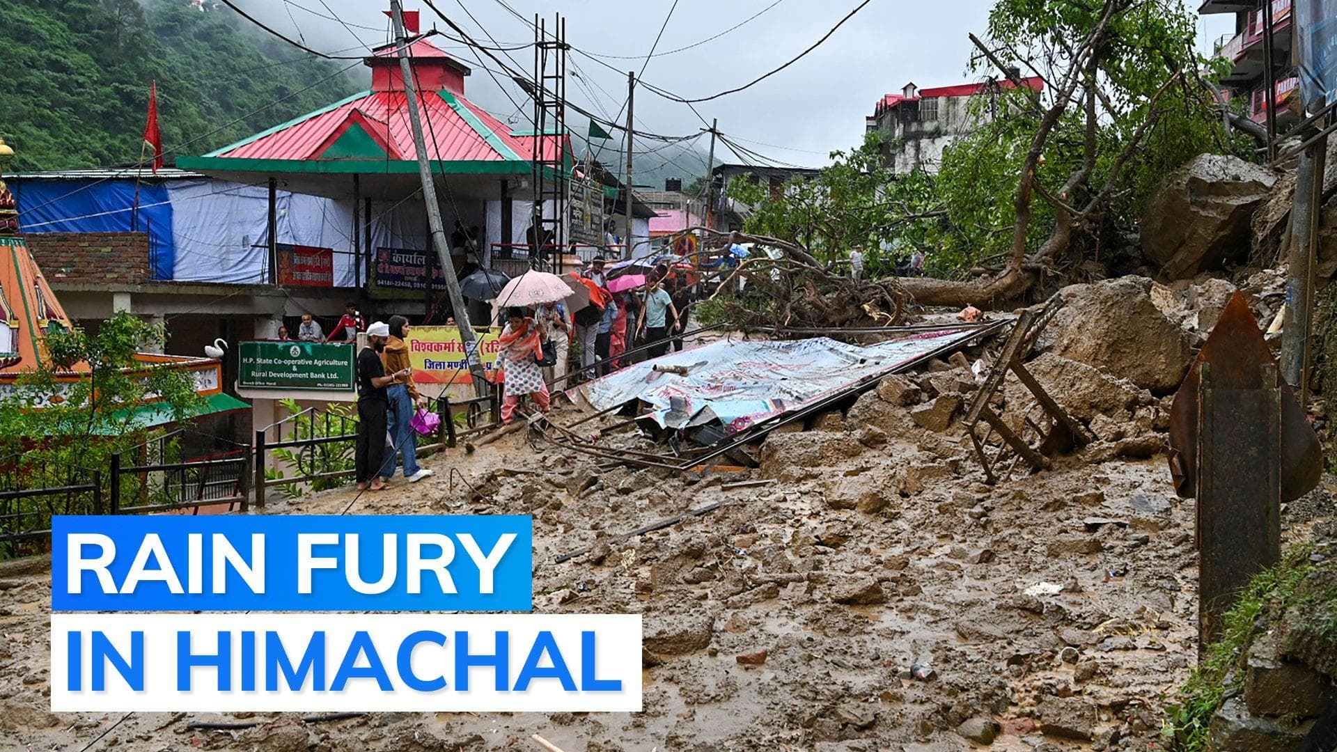 Landslides, flash floods claim at least 50 lives in Himachal Pradesh