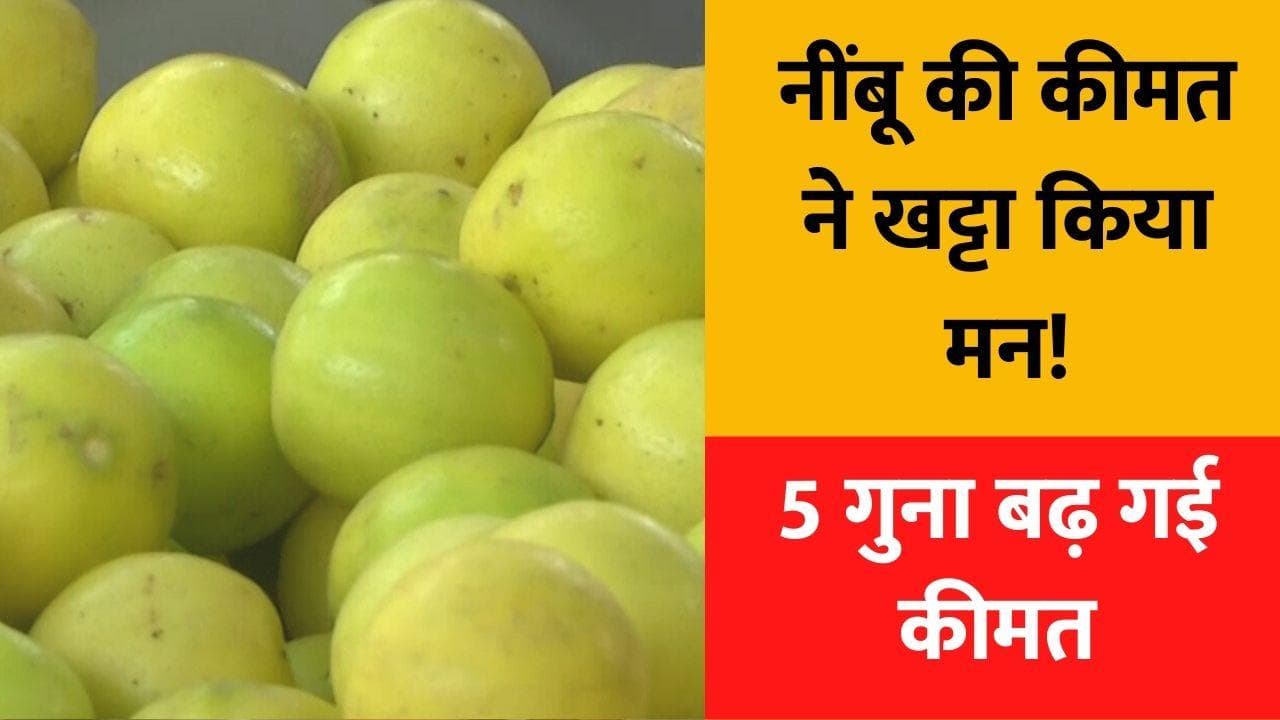 Lemon Prices Hike: गर्मियां आते ही नींबू ने मन किया कड़वा! 250 रुपये किलो पहुंचा रेट