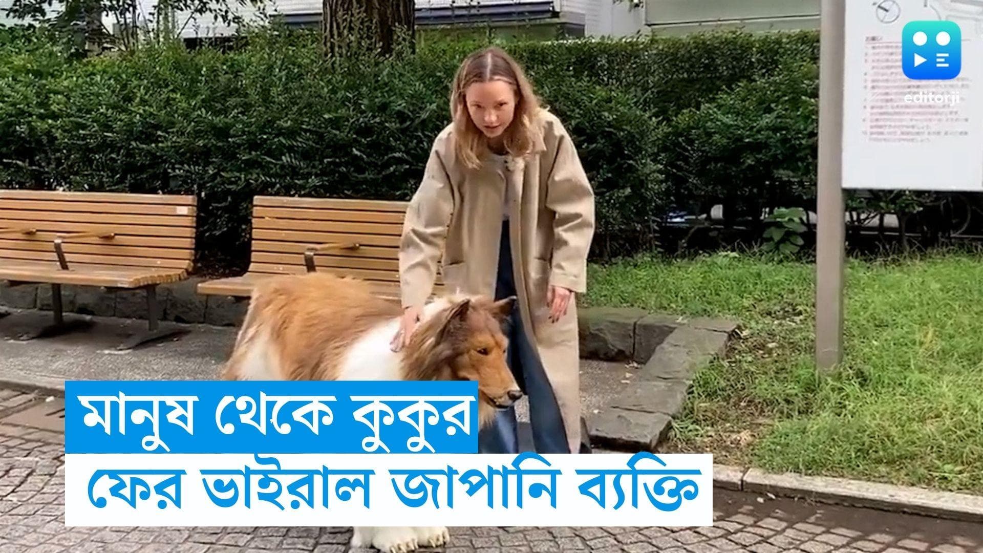 Viral Video : মানুষ থেকে কুকুর ! চারপেয়ের বেশেই বান্ধবীর সঙ্গে প্রথম সর্বসমক্ষে ভাইরাল সেই জাপানি ব্যক্তি