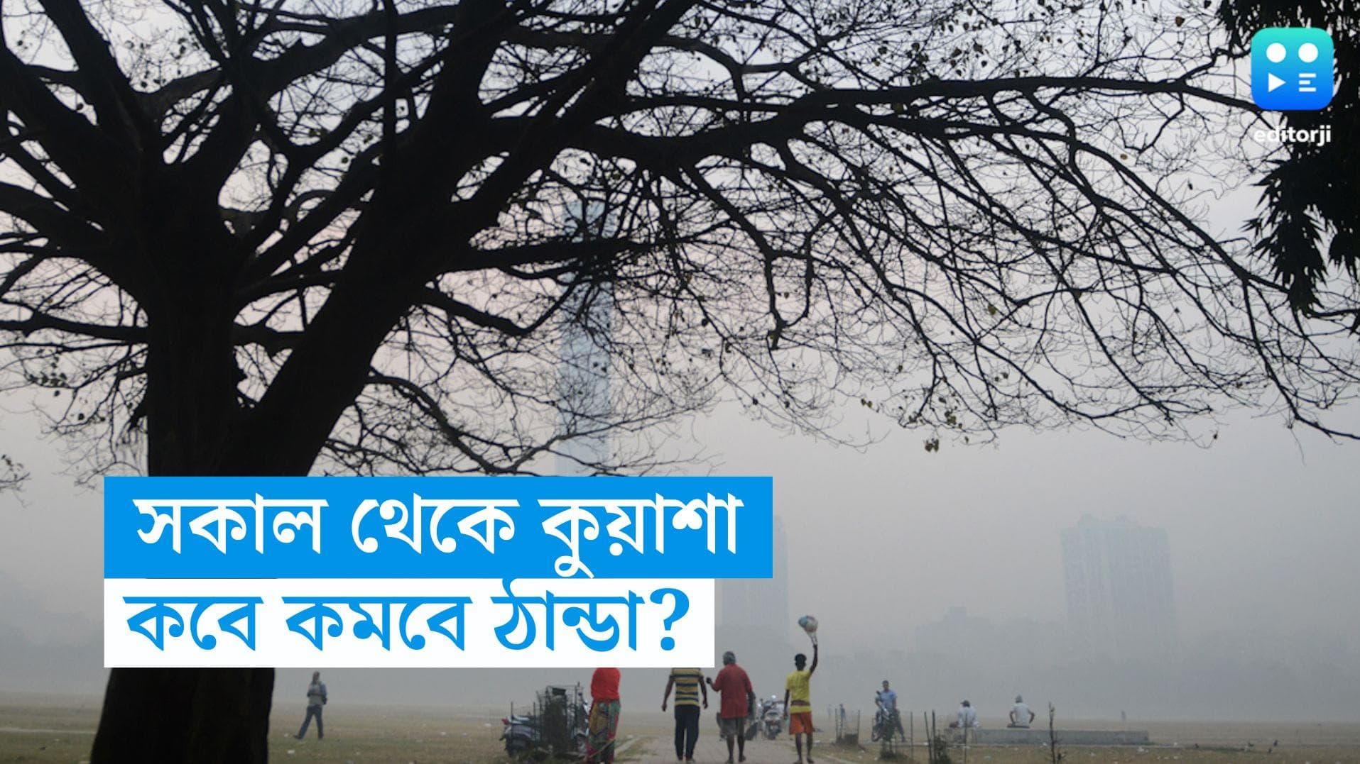 West Bengal Weather Update: সকাল থেকে ঘন কুয়াশা, দিনভর বঙ্গের আবহাওয়া থাকবে কেমন?