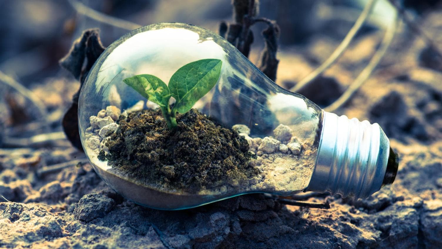 World Environmental Health Day: Prioritising healthier communities