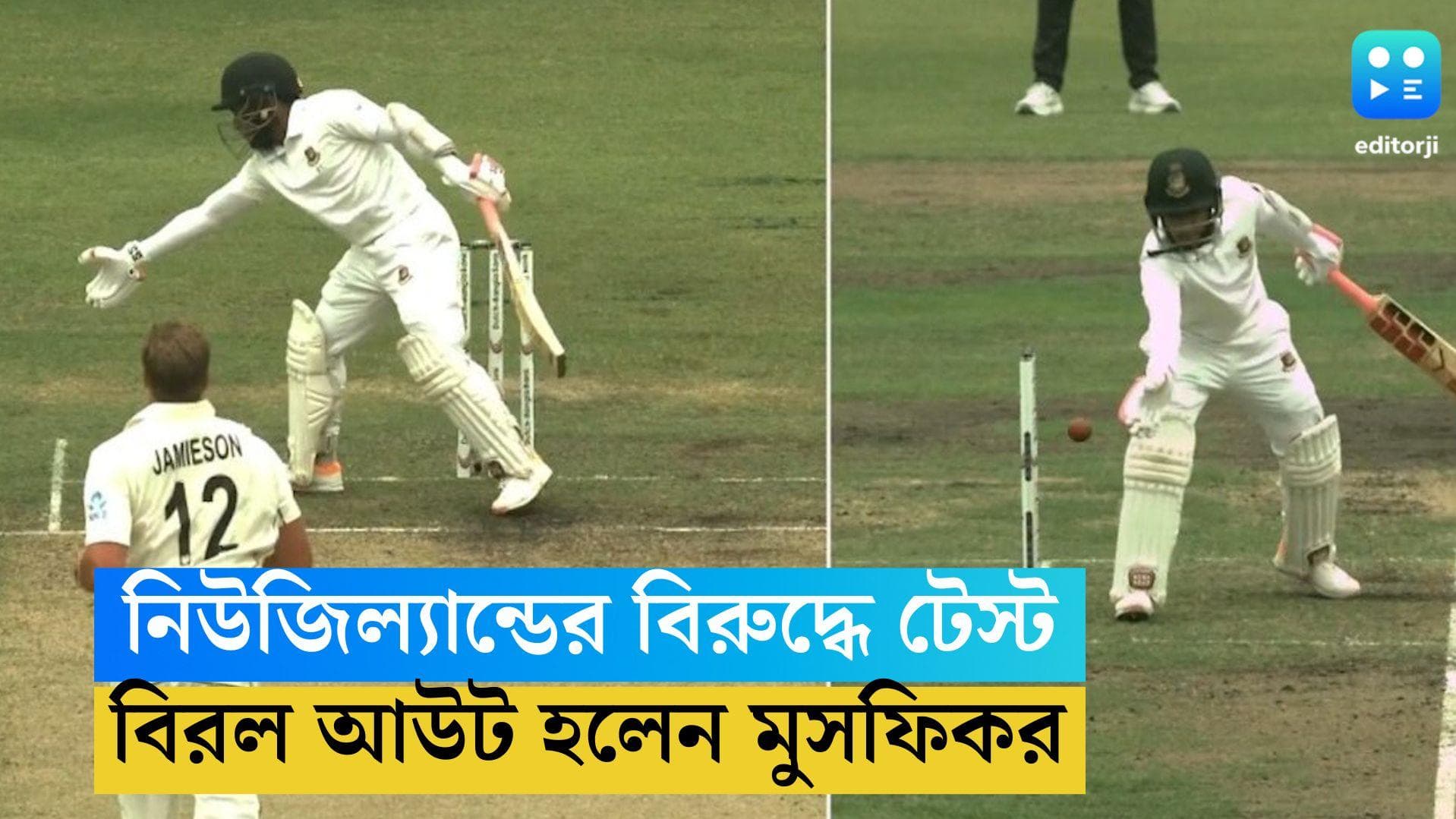 Mushfuquer Rahim: নিউজিল্যান্ডের বিরুদ্ধে টেস্ট, অদ্ভুত আউট হয়ে নজির গড়লেন মুসফিকর রহিম